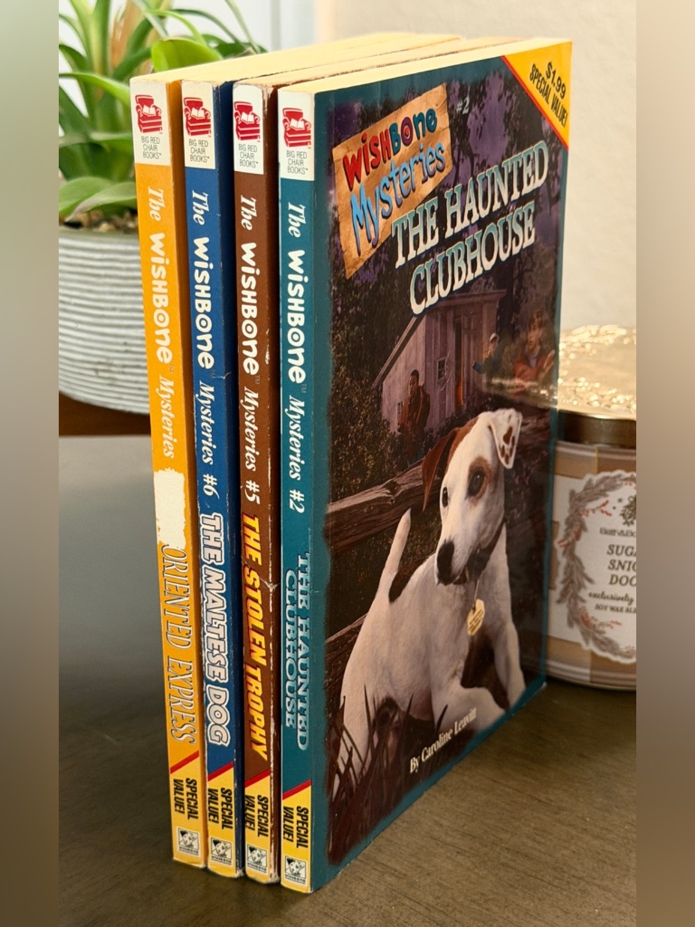 Set of 4 Wishbone Mysteries Books